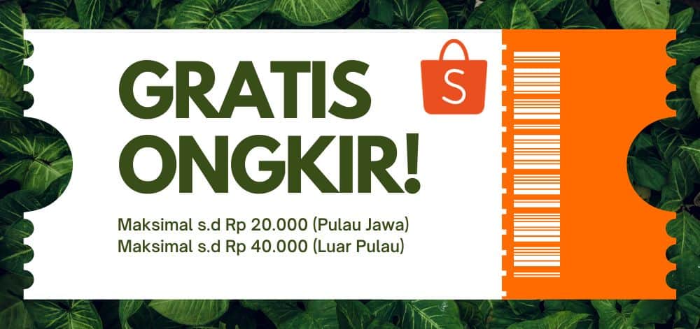 Cream Brown Modern Gift Voucher Ticket (1)-min voucher gratis ongkir