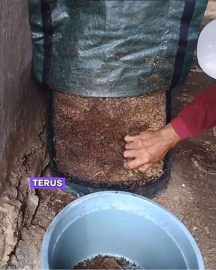 1 whatsapp image 2024 01 12 at 14.23.39 (1) min