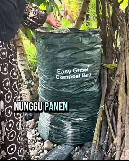 5 whatsapp image 2024 01 12 at 14.23.38 min